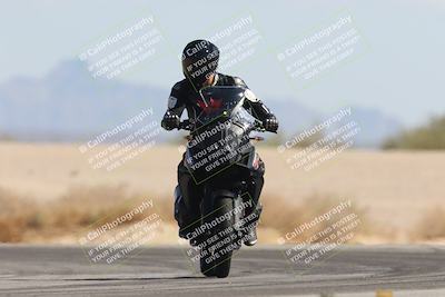 media/Oct-13-2025-Moto Forza (Mon) [[a66d839500]]/3-B Group/Session 4 Turn 4 Tree of Life/